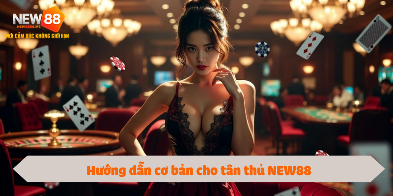 Hướng dẫn cơ bản cho tân thủ NEW88
